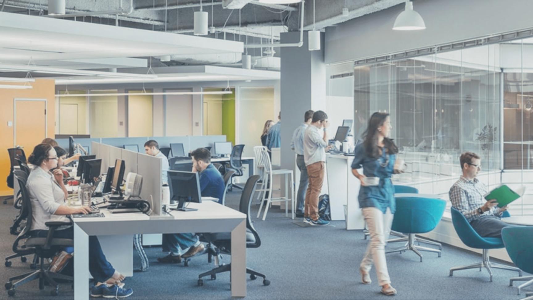 Visualización del programa de formación en optimización